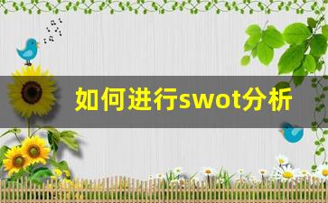 如何进行swot分析