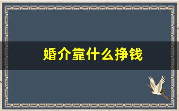 婚介靠什么挣钱