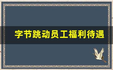 字节跳动员工福利待遇_字节跳动月薪三万是什么水平