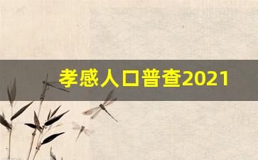 孝感人口普查2021公布结果