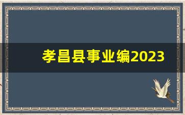 孝昌县事业编2023报名_2023湖北孝感市云梦县事业单位人才