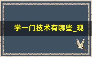 学一门技术有哪些_现在有什么可以学的技术