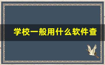 学校一般用什么软件查分