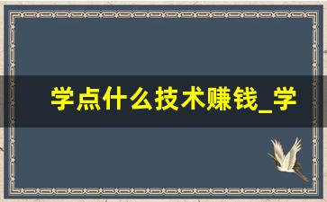 学点什么技术赚钱_学什么手艺将来最赚钱