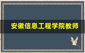 安徽信息工程学院教师团队