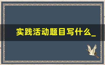 实践活动题目写什么_以实践为立意的作文题目