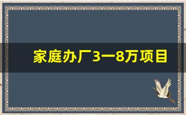 家庭办厂3一8万项目