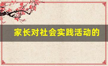 家长对社会实践活动的评价30字