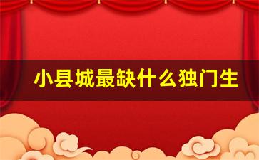 小县城最缺什么独门生意_2024下一个赚钱风口