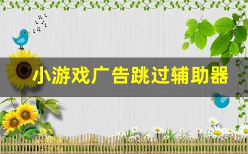 小游戏广告跳过辅助器_跳过游戏内广告的软件