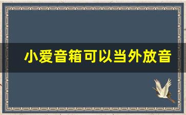 小爱音箱可以当外放音响吗