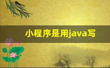 小程序是用java写的吗_微信小程序用php还是java