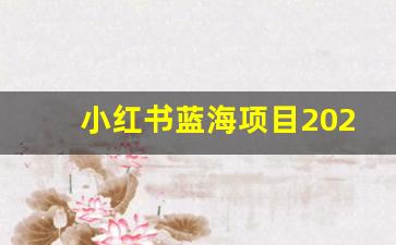 小红书蓝海项目2023年_2021蓝海新项目