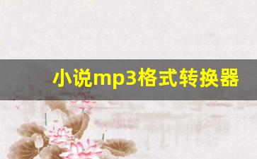 小说mp3格式转换器_小说转换器