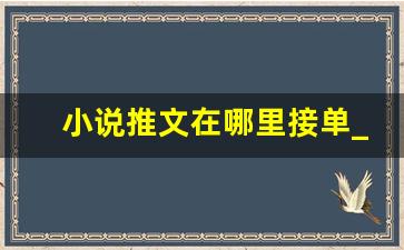 小说推文在哪里接单_推文兼职去哪里找