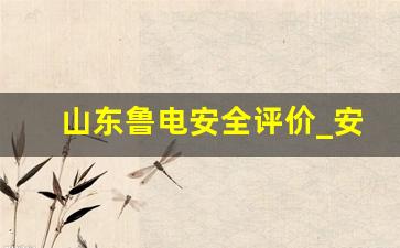 山东鲁电安全评价_安全评价