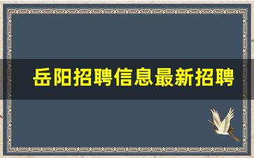 岳阳招聘信息最新招聘信息58同城