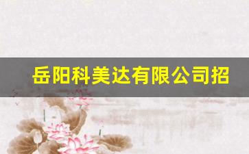 岳阳科美达有限公司招聘_湖南岳阳汇川公司招工信息