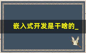 嵌入式开发是干啥的_嵌入式开发要学哪些课程