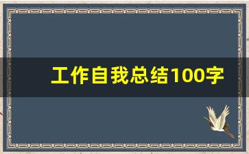 工作自我总结100字_简短的个人总结300字