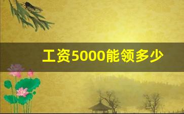 工资5000能领多少生育津贴