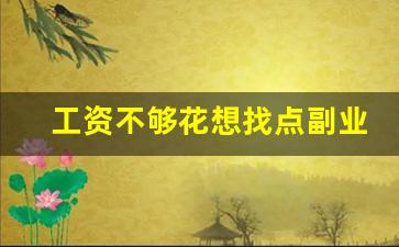 工资不够花想找点副业_适合负债者的10个副业