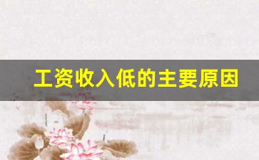 工资收入低的主要原因_中国农民收入低吗