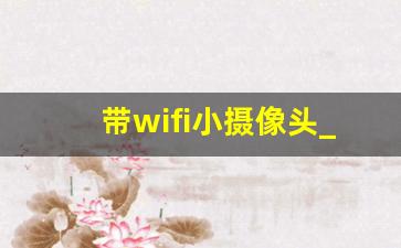 带wifi小摄像头_带有摄像头的路由器