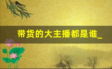 带货的大主播都是谁_哪里可以联系带货主播