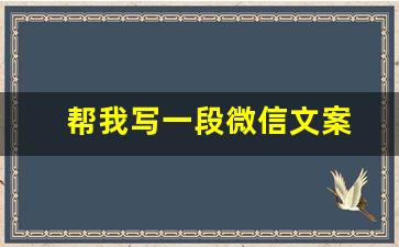 帮我写一段微信文案