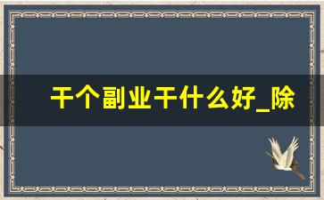 干个副业干什么好_除了工作副业做什么好