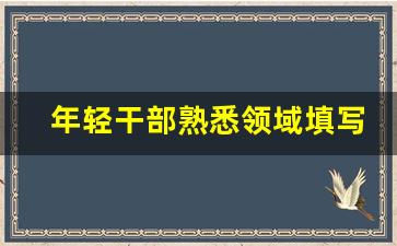 年轻干部熟悉领域填写