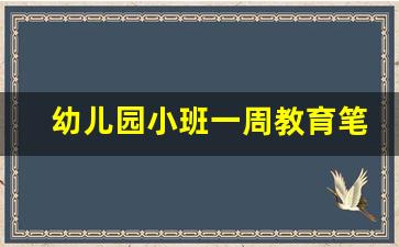 幼儿园小班一周教育笔记_幼儿园周教育笔记小班