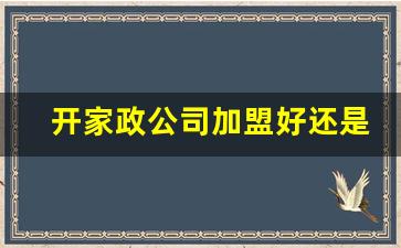 开家政公司加盟好还是自己干好_上海排名第一的家政公司