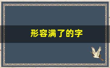 形容满了的字