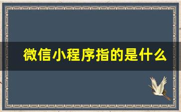 微信小程序指的是什么_微信公众号小程序怎么做