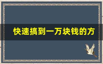 快速搞到一万块钱的方法_怎么快速弄到1万块钱