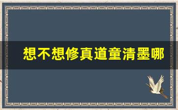 想不想修真道童清墨哪里获取_想不想修真b站激活码