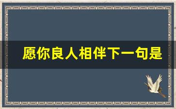 愿你良人相伴下一句是什么