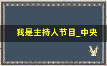 我是主持人节目_中央广播电视总台主持人大赛