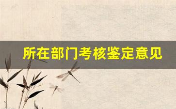 所在部门考核鉴定意见100字_工作单位对个人表现鉴定模板