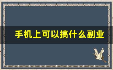 手机上可以搞什么副业_一台手机一天赚40左右