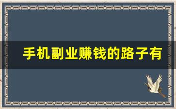 手机副业赚钱的路子有哪些_抖音关注10元一单兼职