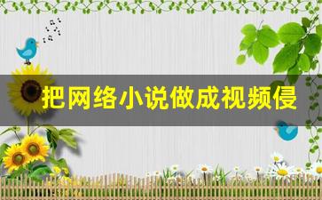 把网络小说做成视频侵权吗_把书的内容做成视频发到网上侵权吗