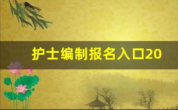 护士编制报名入口2023_护士入编和不入编的区别