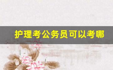 护理考公务员可以考哪些岗位_大专最容易考的事业编