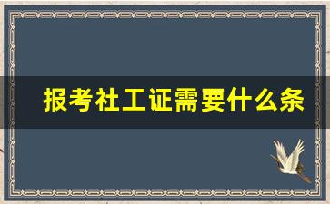 报考社工证需要什么条件