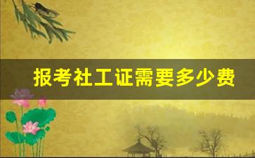 报考社工证需要多少费用_社工证是干什么用的