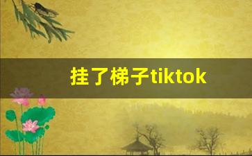 挂了梯子tiktok无法加载_tiktok下载