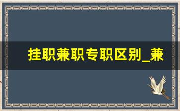 挂职兼职专职区别_兼职与挂职的适用人群